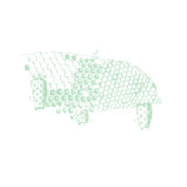 Lisa_Ertl_Beratung_Strukturen_Prozesse_Lösungen_Berlin