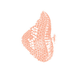 Lisa_Ertl_Beratung_Strukturen_Prozesse_Lösungen_Berlin